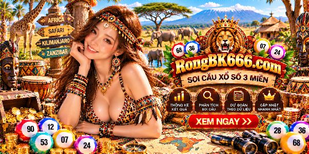 RongBK Rongbk666.com – Phân Tích Tỷ Lệ Trùng Lặp Giữa Các Nhóm Số Theo Từng Kỳ
