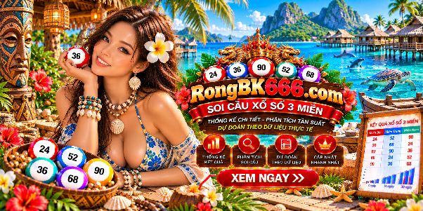 Cầu Bạch Kim 666 Rongbk666.com Và Góc Nhìn Thống Kê Dài Hạn: Dữ Liệu Cho Thấy Điều Gì?