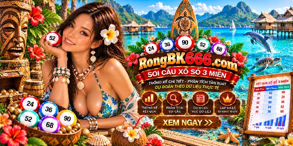 Cầu Bạch Kim 666 Rongbk666.com Và Góc Nhìn Thống Kê Dài Hạn: Dữ Liệu Cho Thấy Điều Gì?